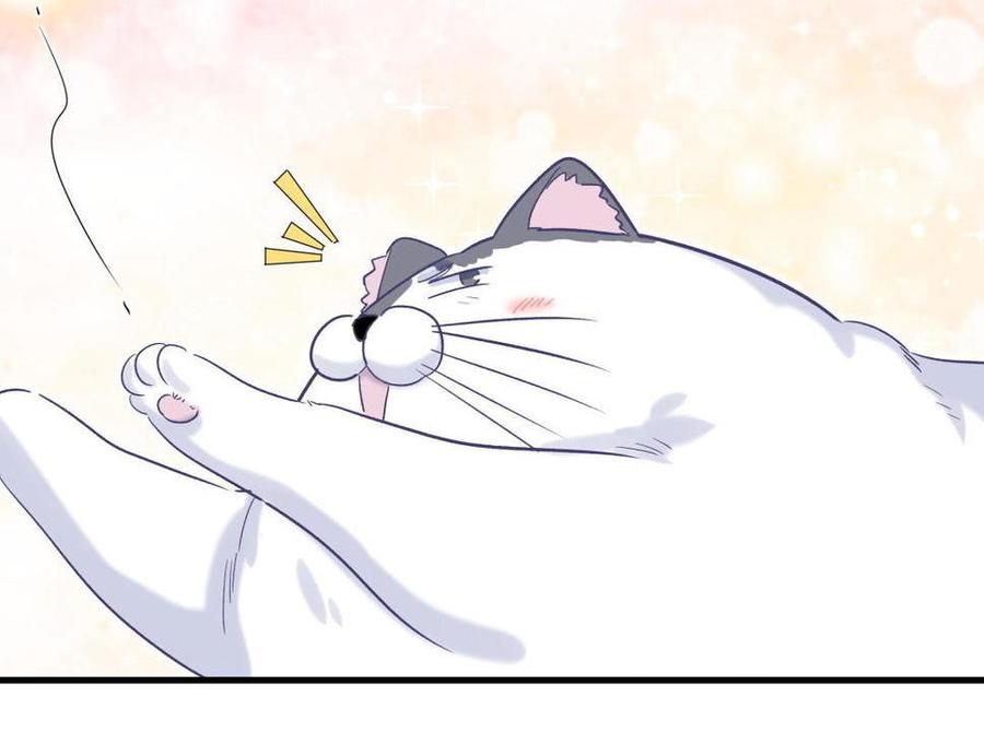 第47话 我很抱歉(1/2)-第46话