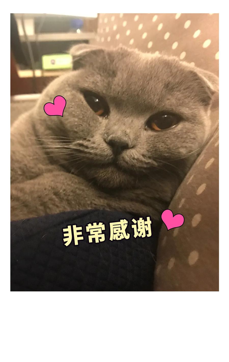 第91话 我是你哥哥(1/2)-第88话