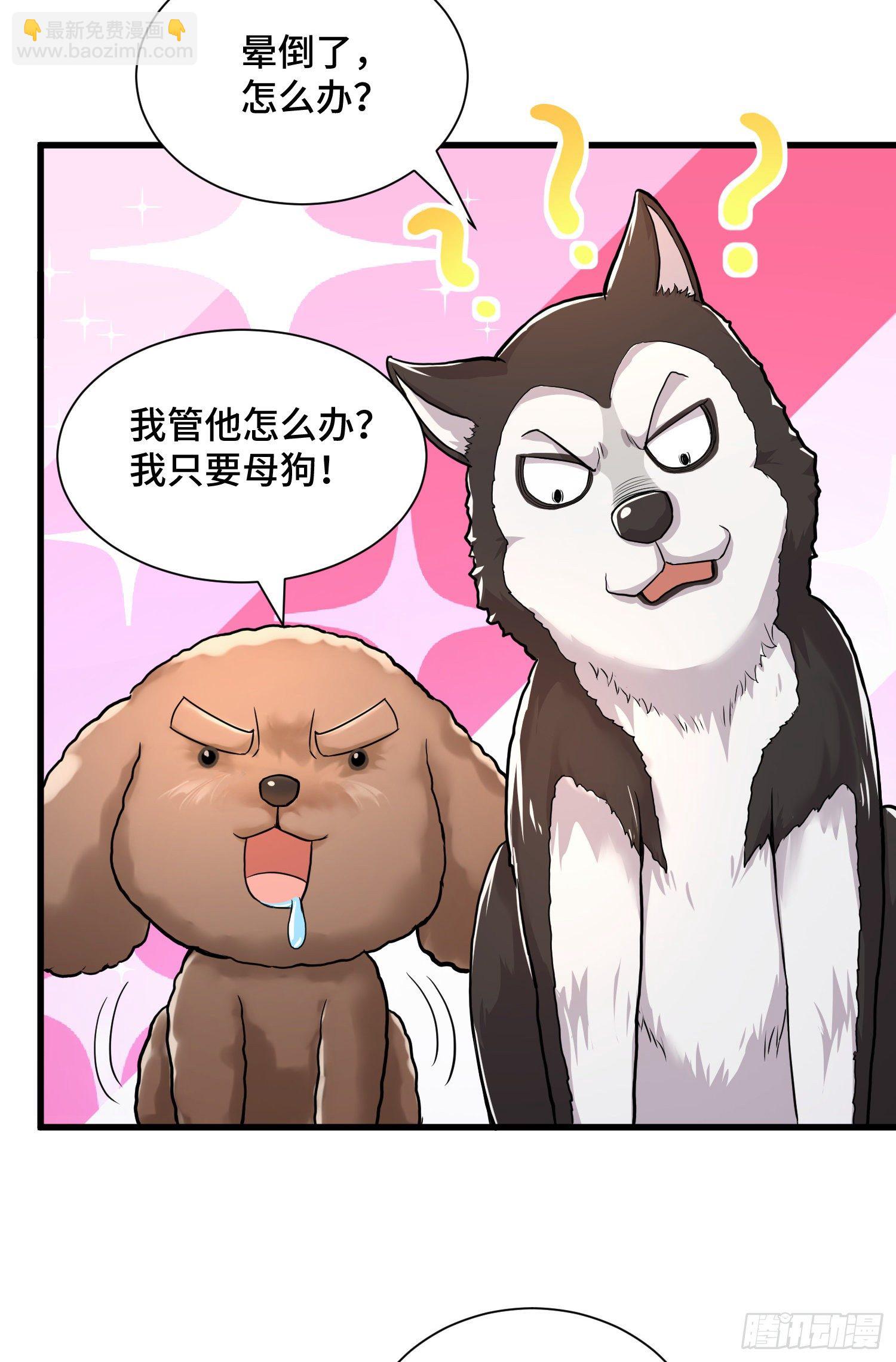 试试就逝世-第4话