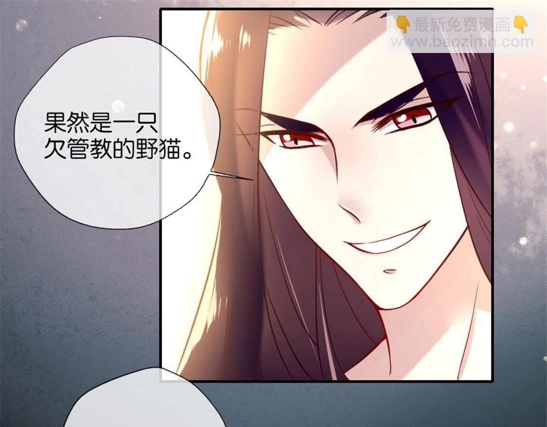 第2话 你逃不掉的，小野猫(1/2)-第4话