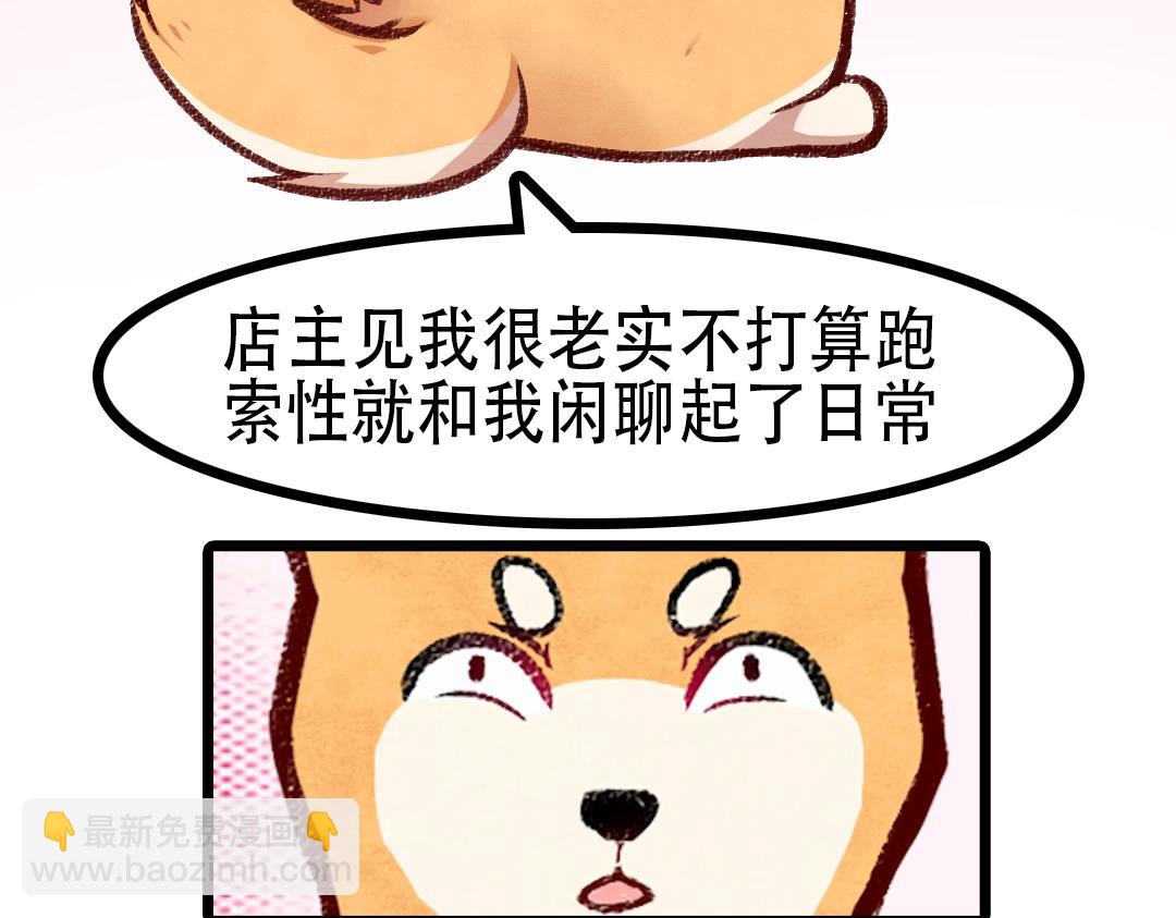 就为个大猪蹄子！？30