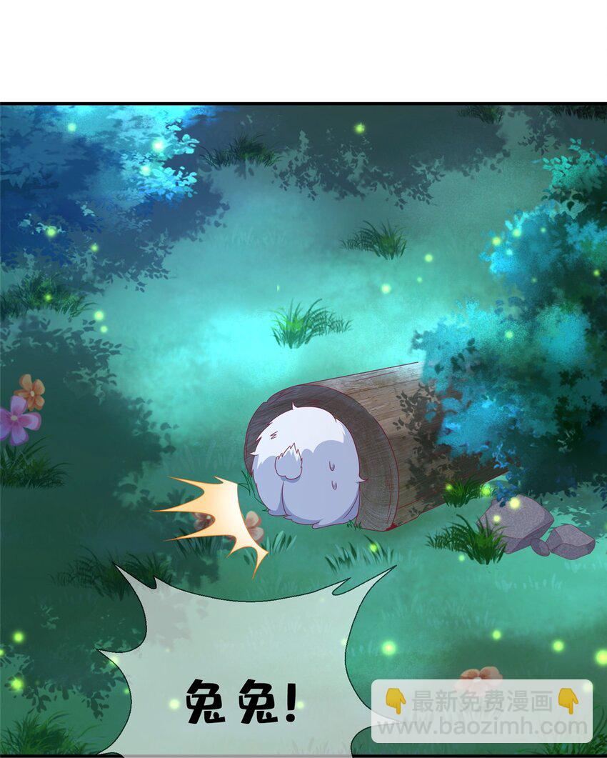 44 兔兔那么可爱(1/2)-第44话