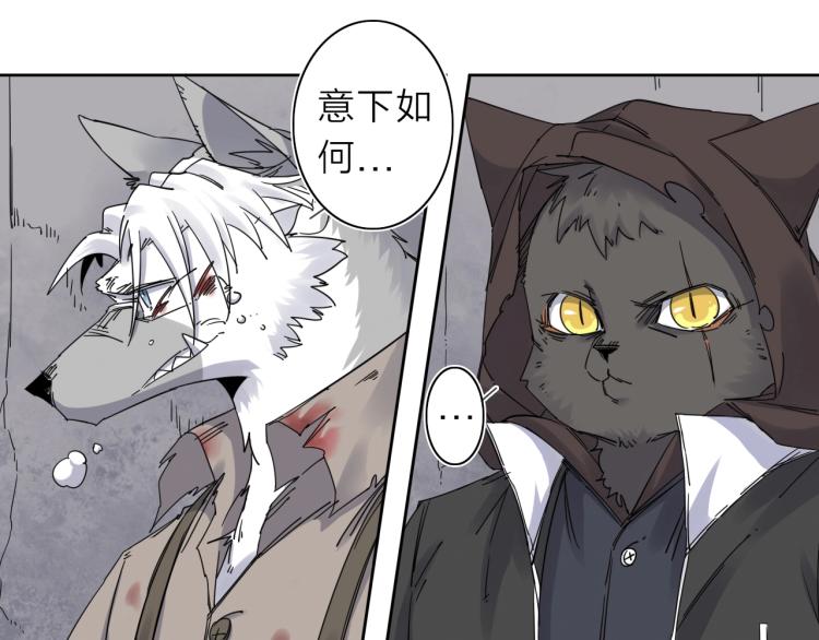 第11话 老猫不发威当我是病狗(1/3)-第12话