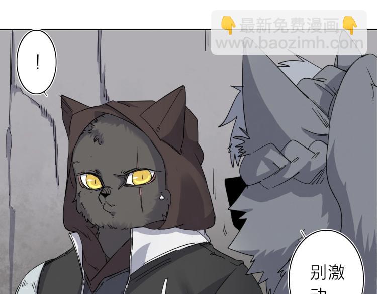 第11话 老猫不发威当我是病狗(1/3)-第12话