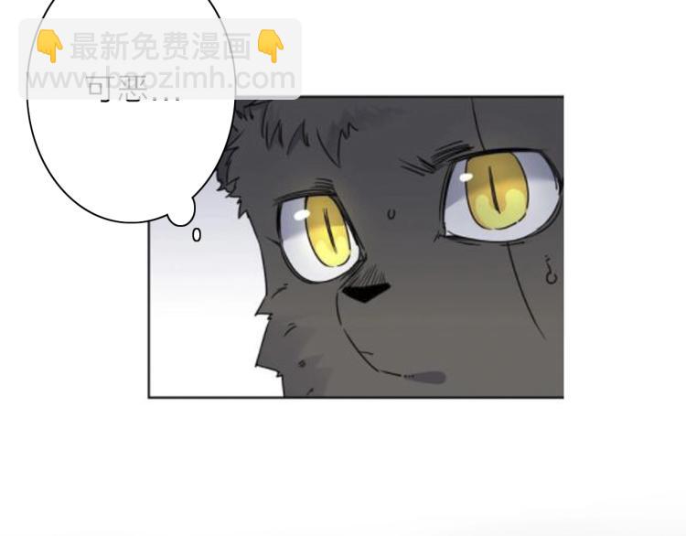 第26话  变身！(1/3)-第28话