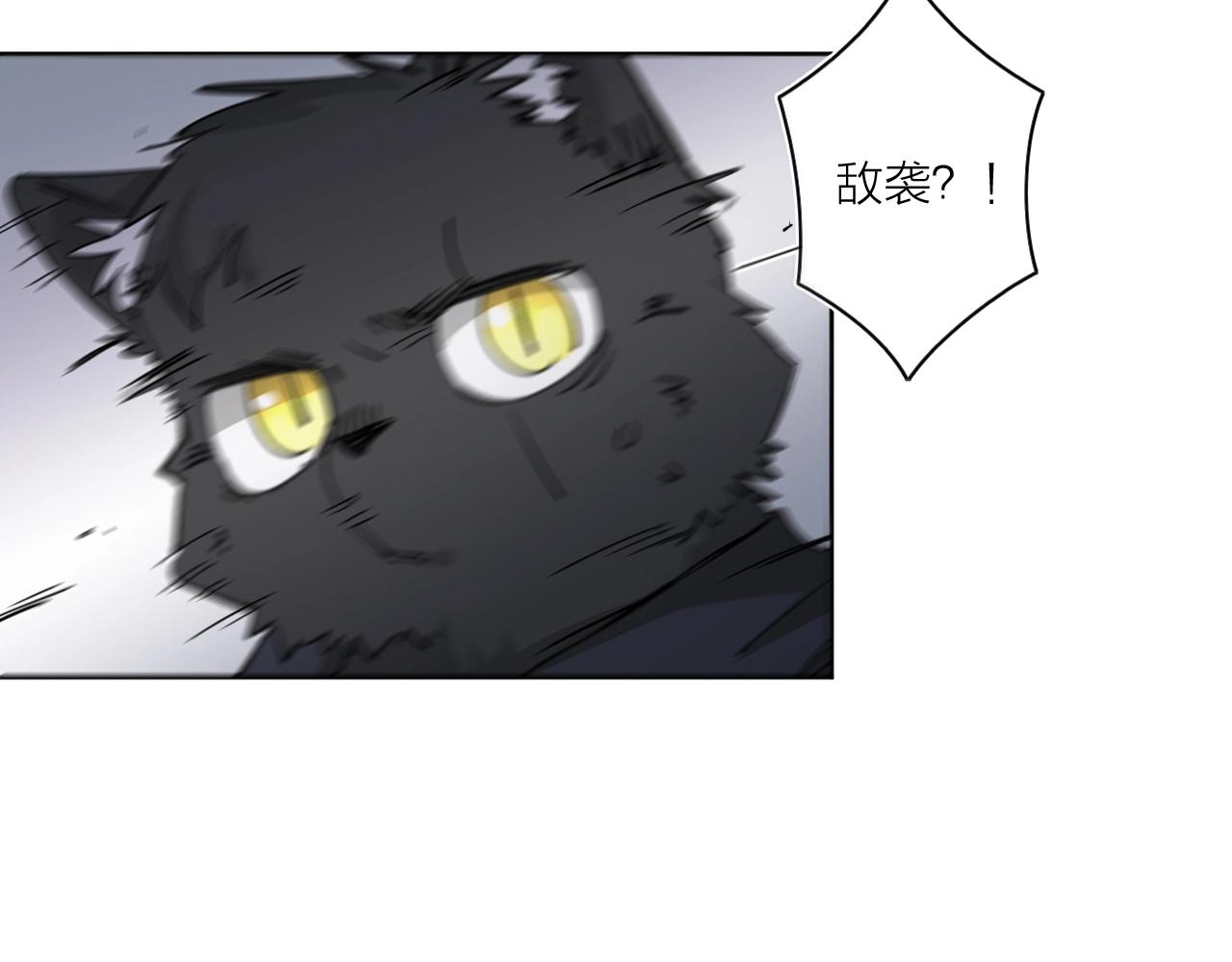 第38话 大战之前(1/2)-第40话