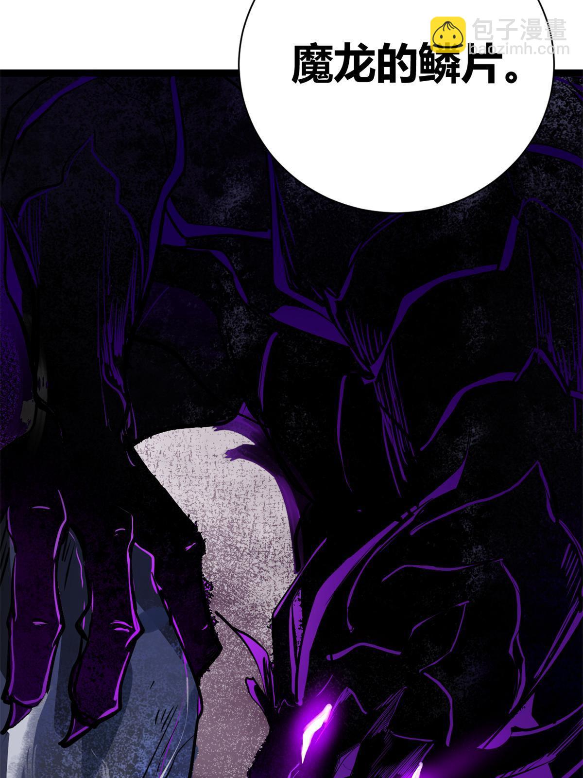 我的影子會掛機 - 206 魔龍的威脅(1/2) - 7