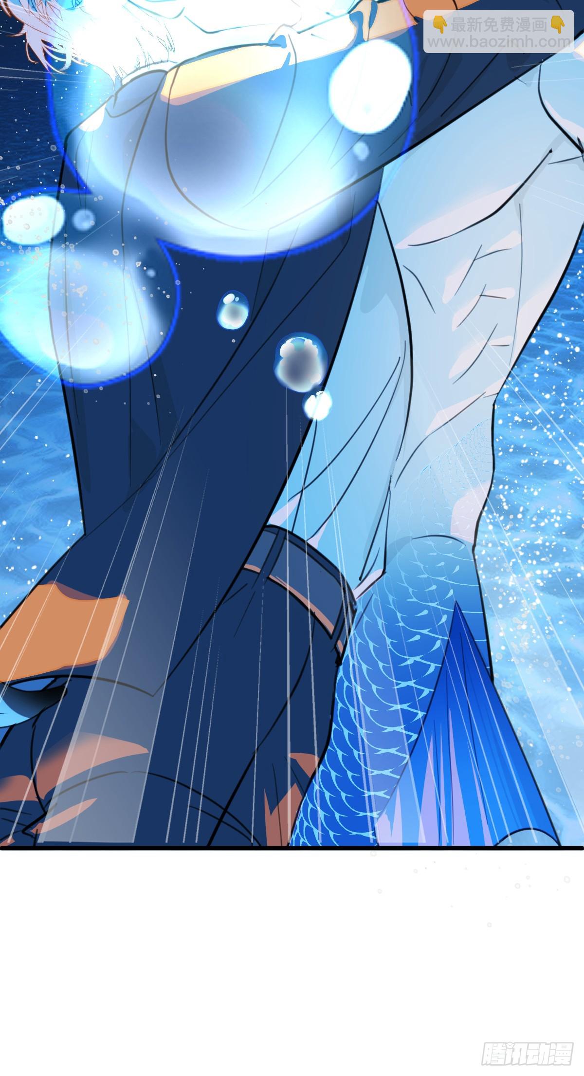 番外2：小狗夕夕揣蛋记3-第40话