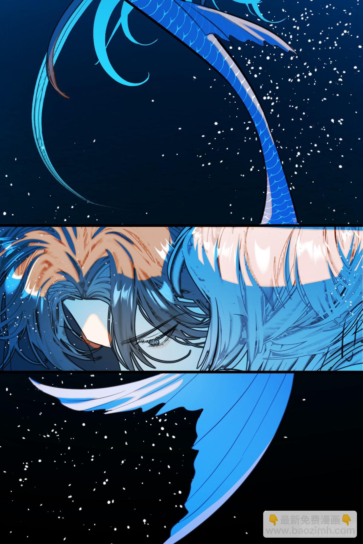 番外2：小狗夕夕揣蛋记3-第40话