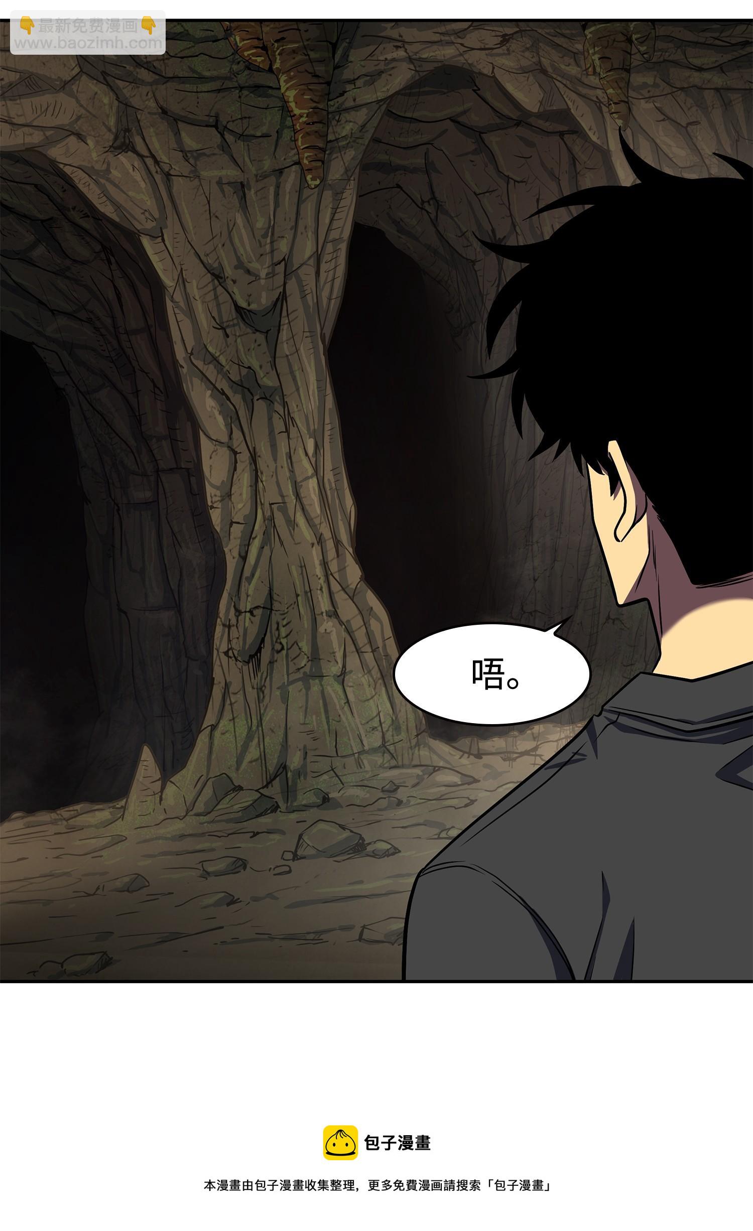 我獨自盜墓 - 243 不速之客(1/2) - 1