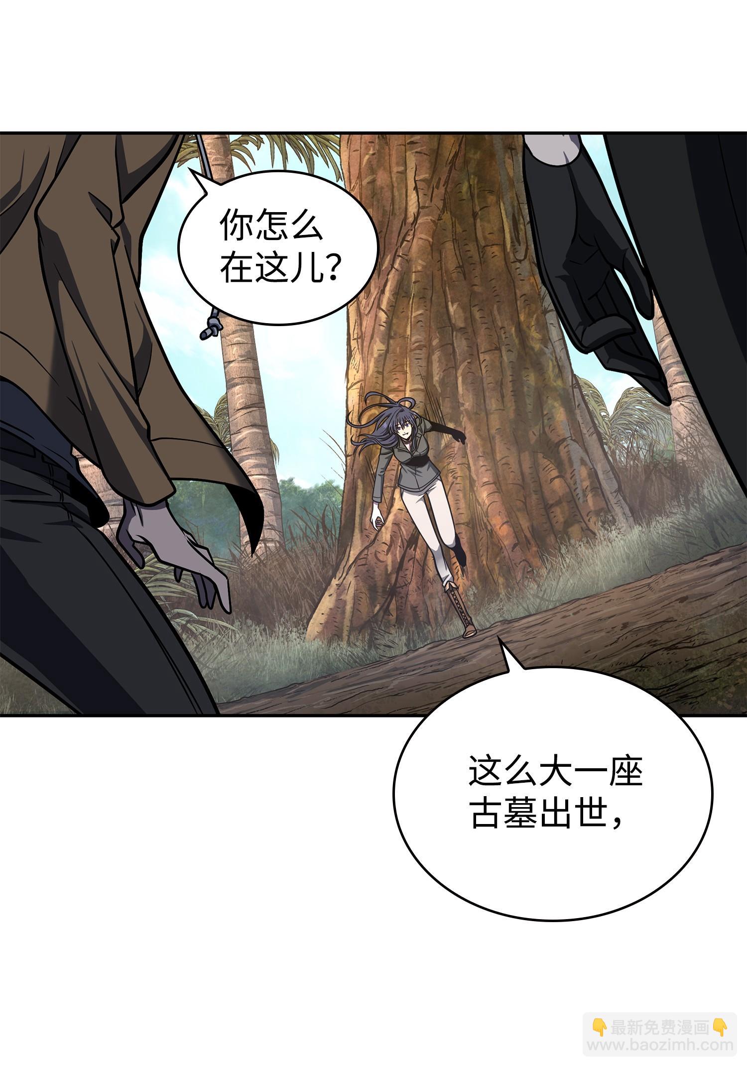 我獨自盜墓 - 243 不速之客(2/2) - 4