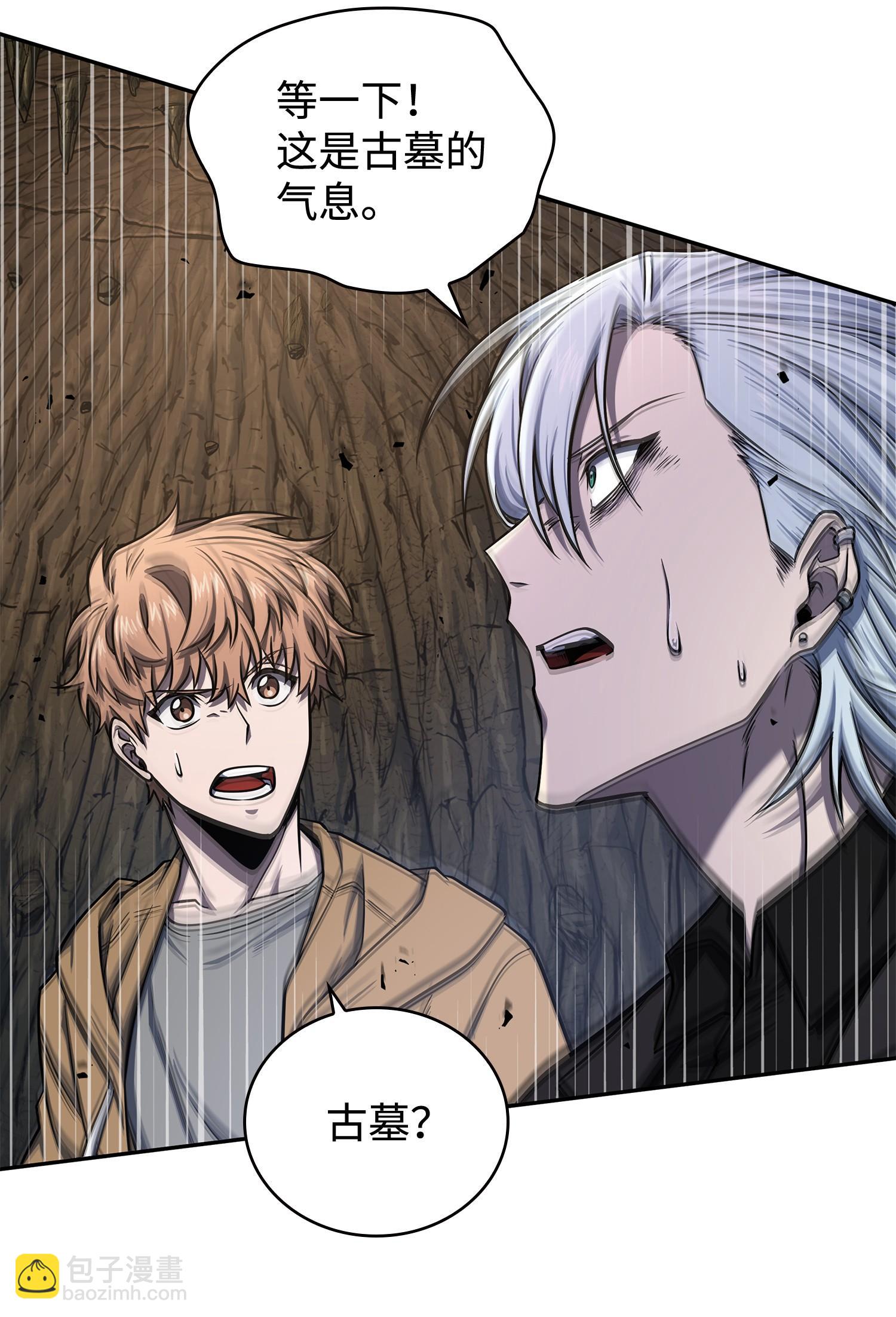 我獨自盜墓 - 245 不死鳥(2/2) - 2