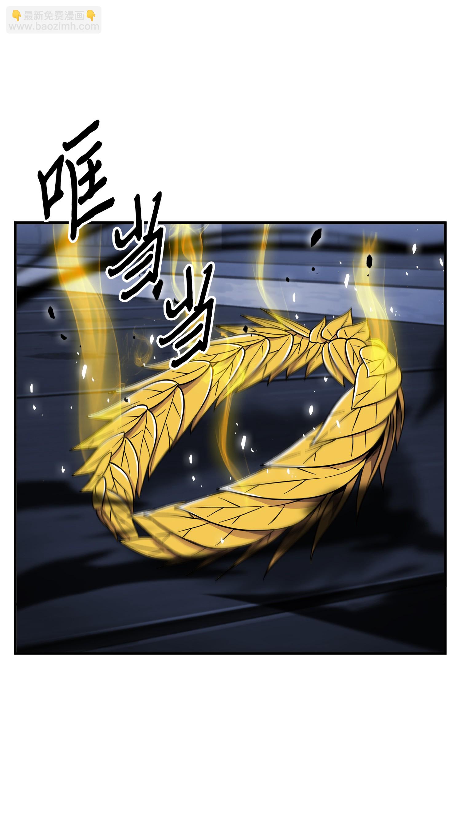 我獨自盜墓 - 089 一網打盡(1/2) - 7