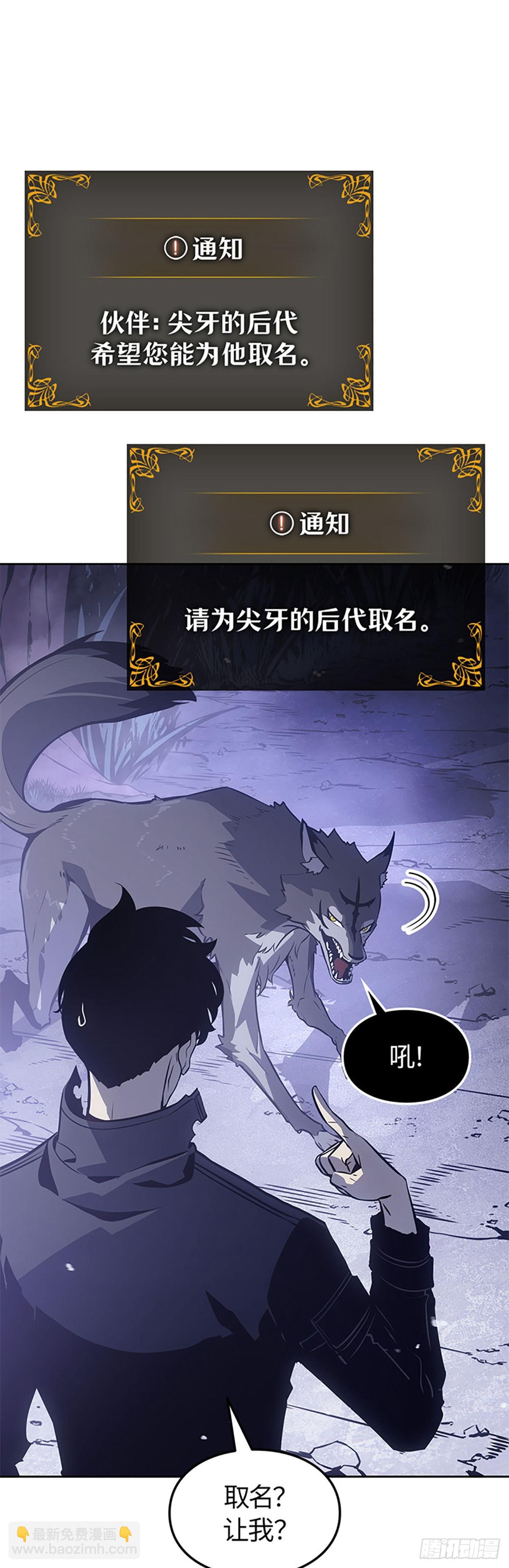 第14话 小灰(1/2)-第14话