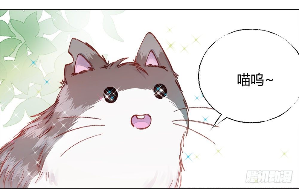 第二十一话：错爱？-第24话