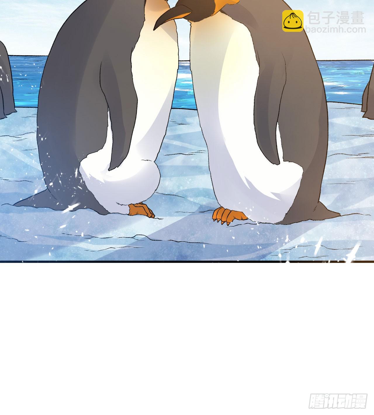 我和妹子們的荒島餘生 - 246 企鵝(2/2) - 2