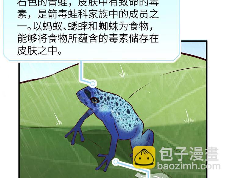 我和妹子們的荒島餘生 - 第31話 游擊戰術(2/3) - 5