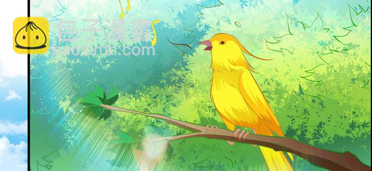 我和妹子們的荒島餘生 - 第7話 否則我對你不客氣(2/2) - 1