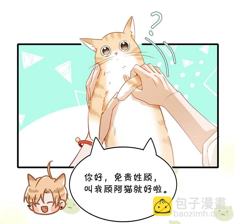 053 我有依了，顾依凉的依。-第66话