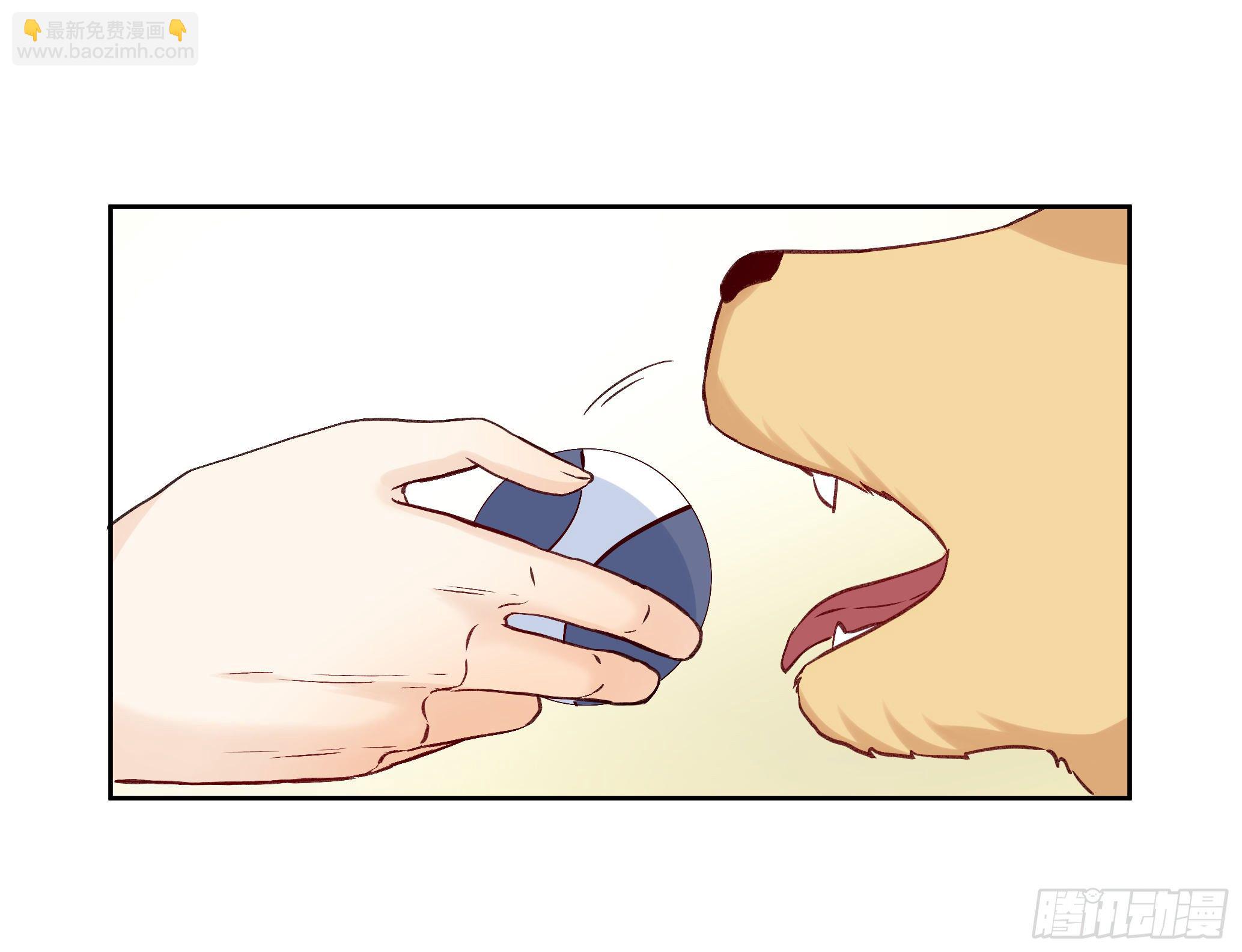 本能反应 第23话-意外-第46话