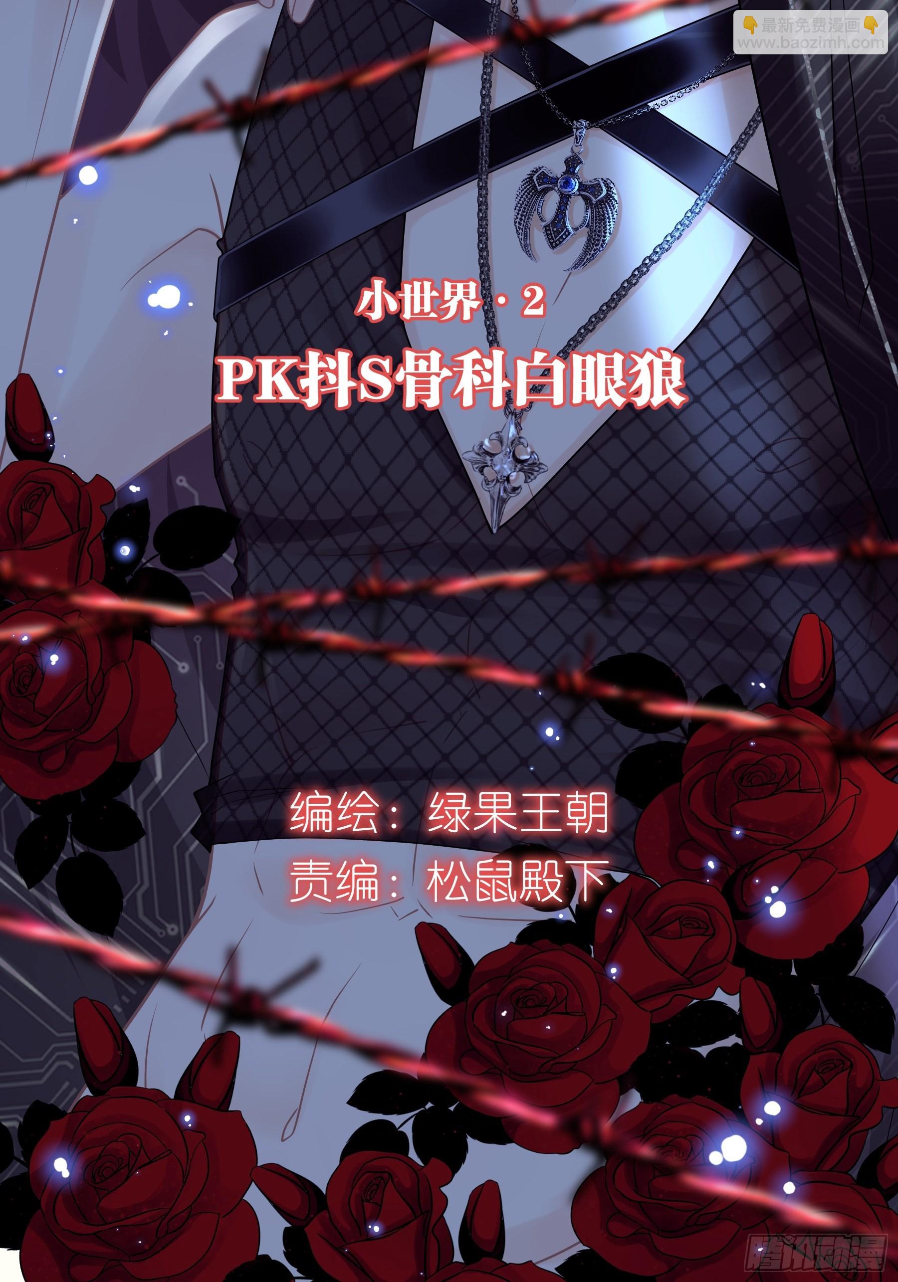 30-鸟嘴大出血(1/2)-第58话