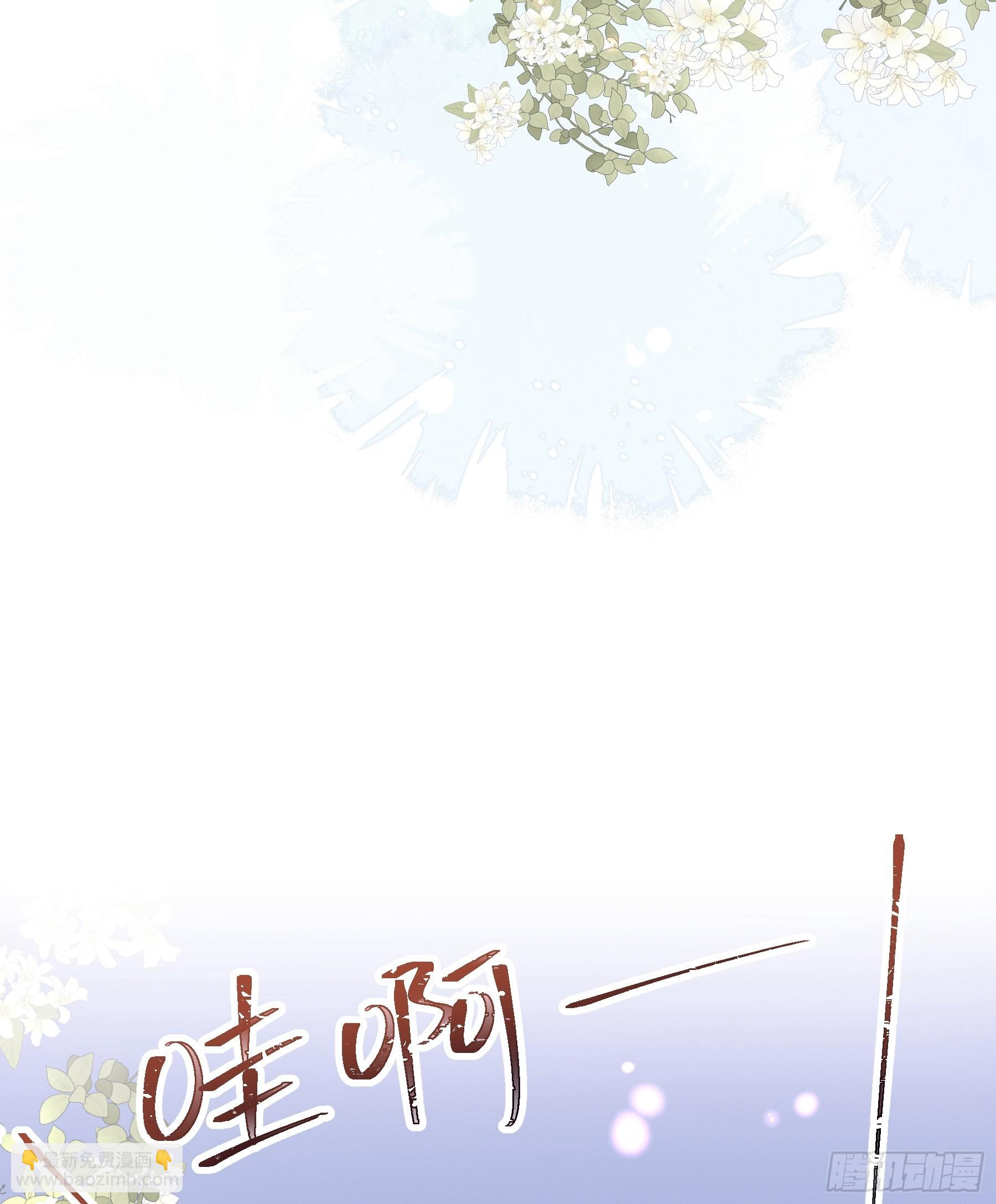 30-鸟嘴大出血(1/2)-第58话