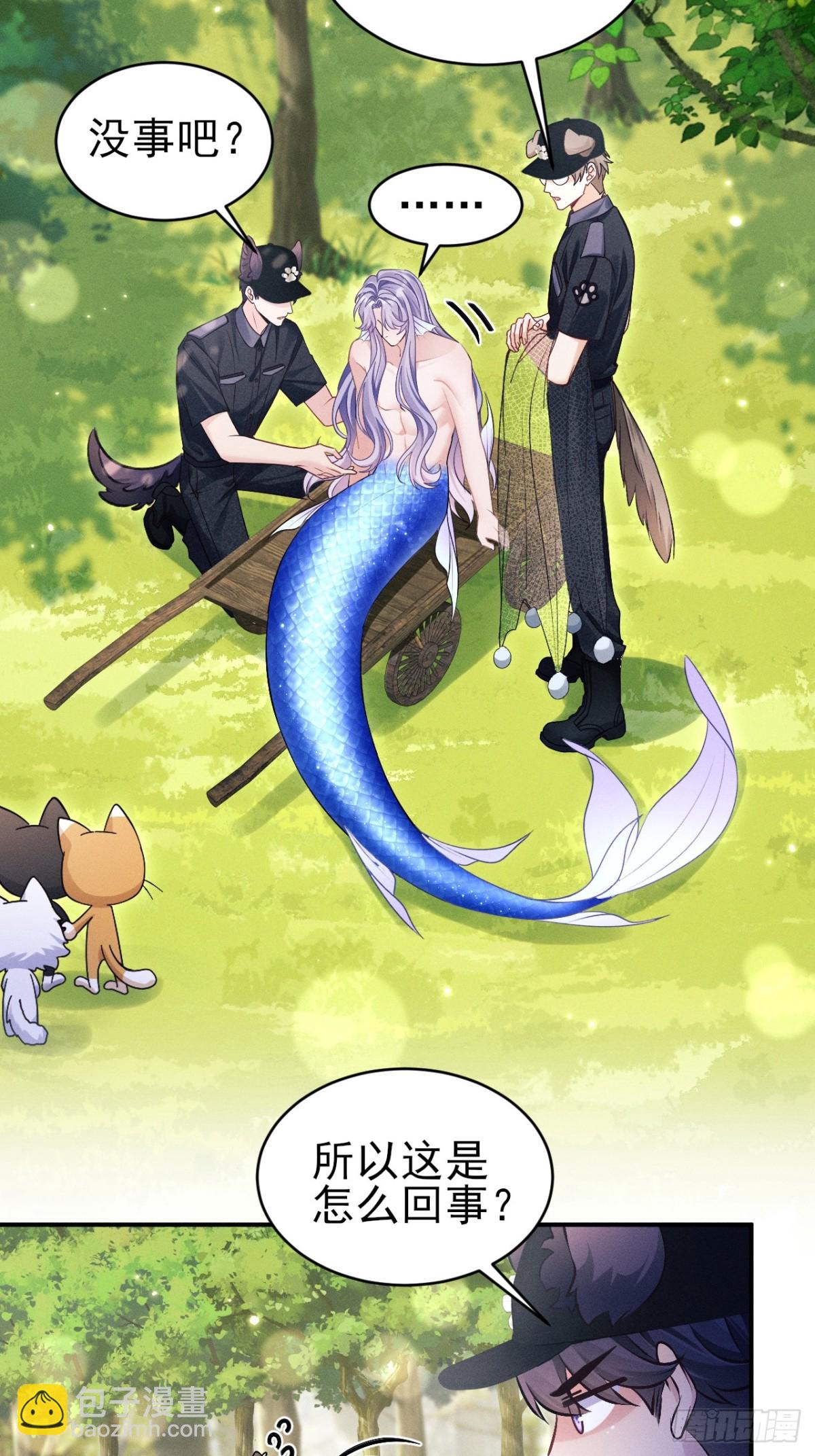 小人鱼历险记（上）(1/2)-第156话