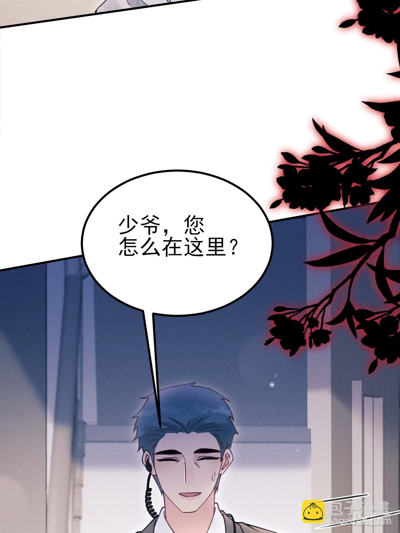 203.带小猫回家咯~(1/2)-第216话