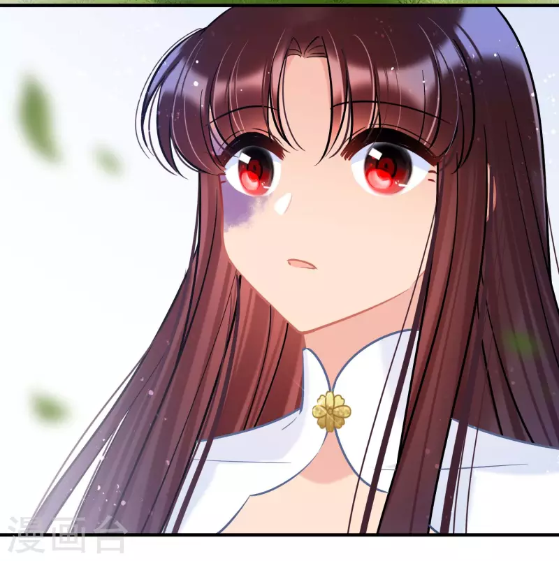 最终话 是走是留？-第164话