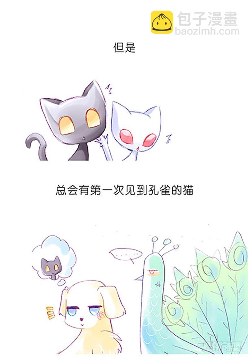 我家大師兄腦子有坑 - 番外：飛星喵6-15合集(1/2) - 8