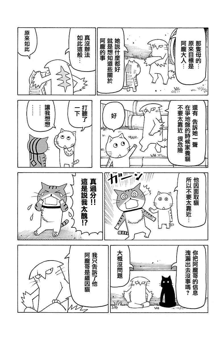 我家的街猫 - 第379话 - 1