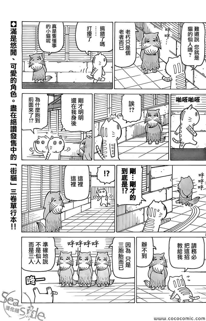 我家的街貓 - 第262話 - 1