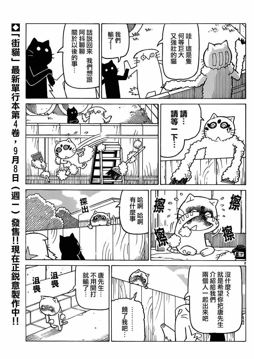 我家的街貓 - 第278話 - 1