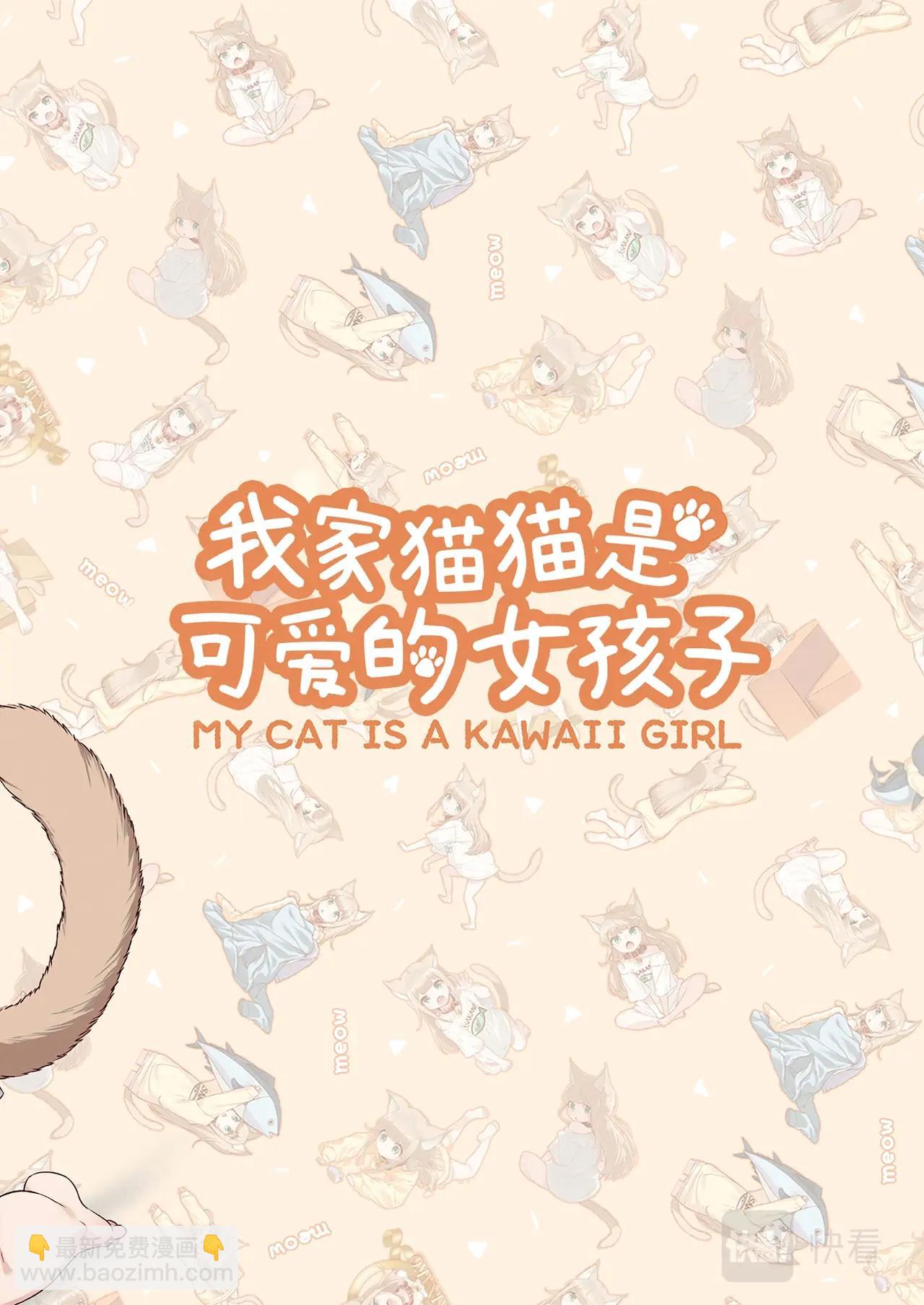 我家的猫猫是可爱的女孩子 - 第1话 我家来了一只猫 - 1