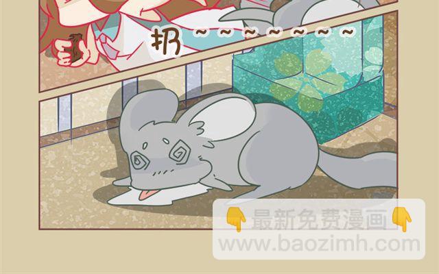我家龍貓二三事 - 第6話 尋寶小能手 - 4