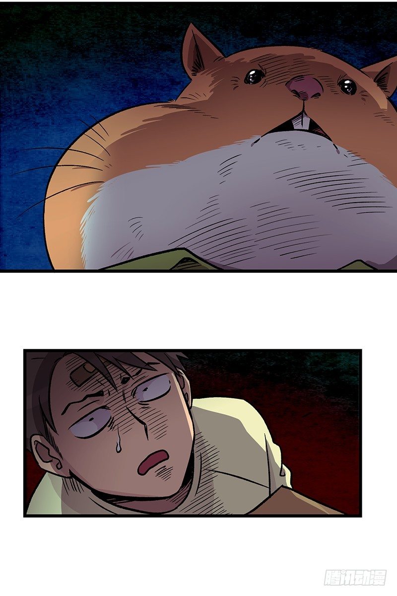 我爹是仓鼠？!-第2话