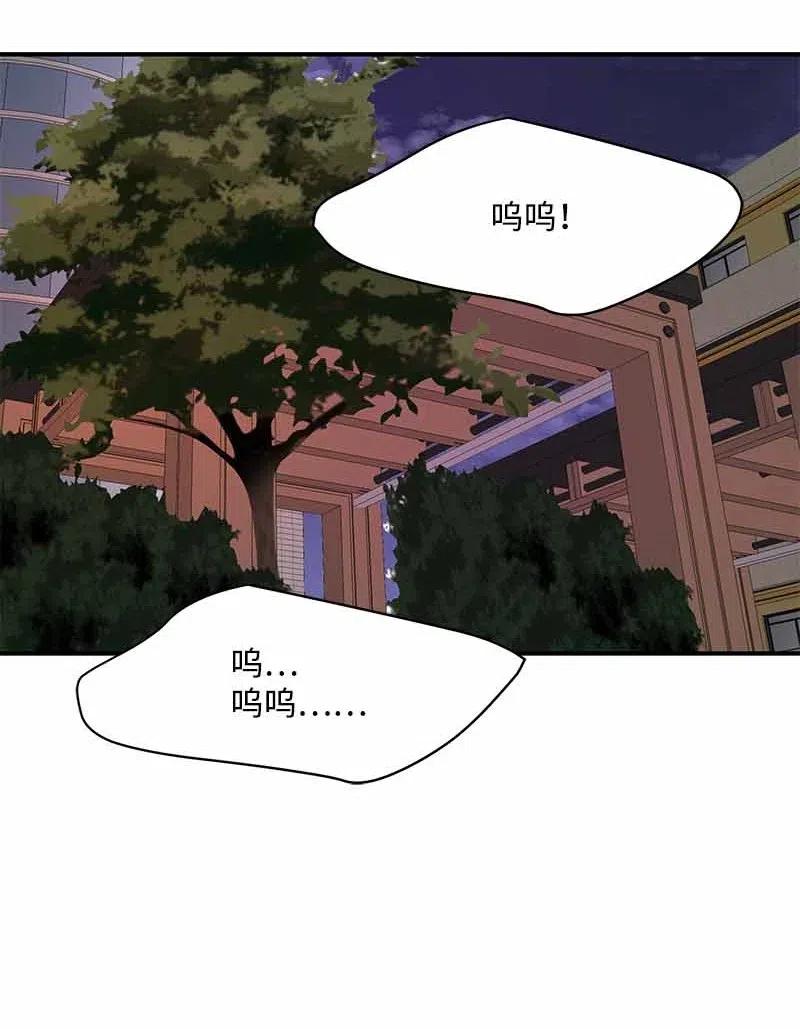 22 迟来的深情-第22话