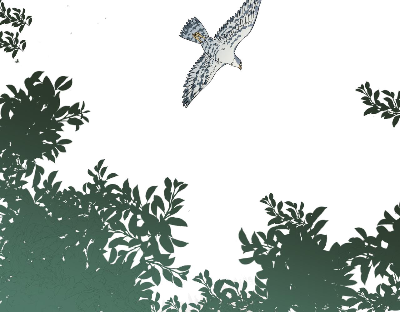 第11话 在路上(1/3)-第12话