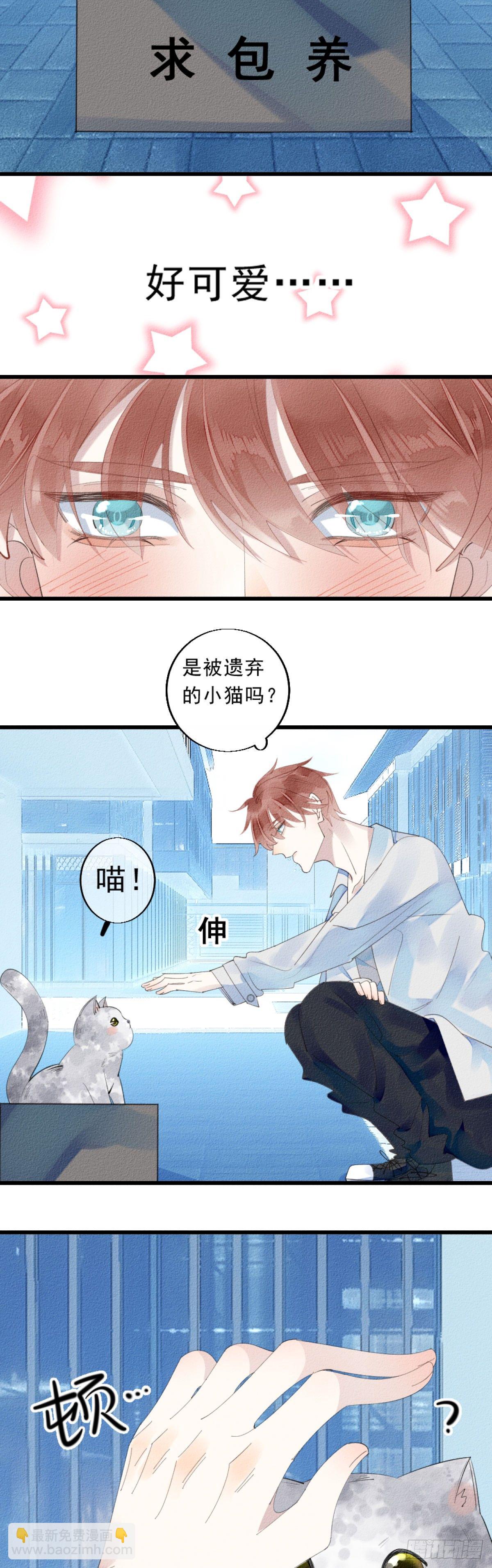 我撿的流浪貓變成人了？ - 1.路遇一隻小貓 - 1