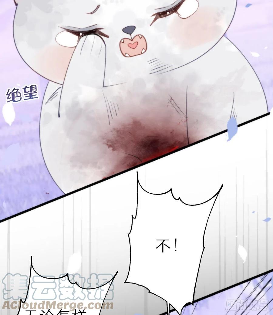 我捡的流浪猫变成人了？ - 95.妖丹(2/2) - 2
