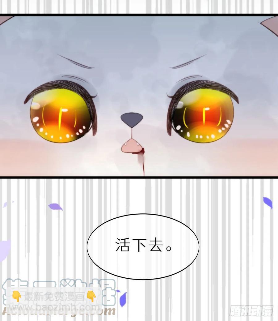 我捡的流浪猫变成人了？ - 95.妖丹(2/2) - 4