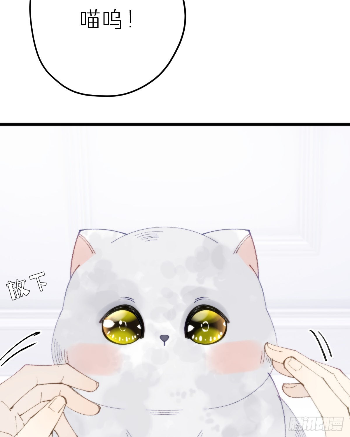 我捡的流浪猫变成人了？ - 113.送你花花(2/2) - 1