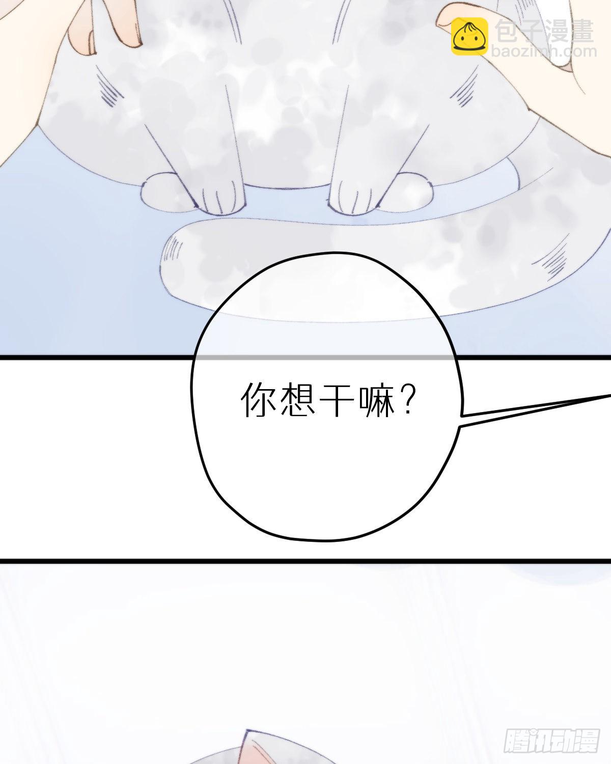 我捡的流浪猫变成人了？ - 113.送你花花(2/2) - 2