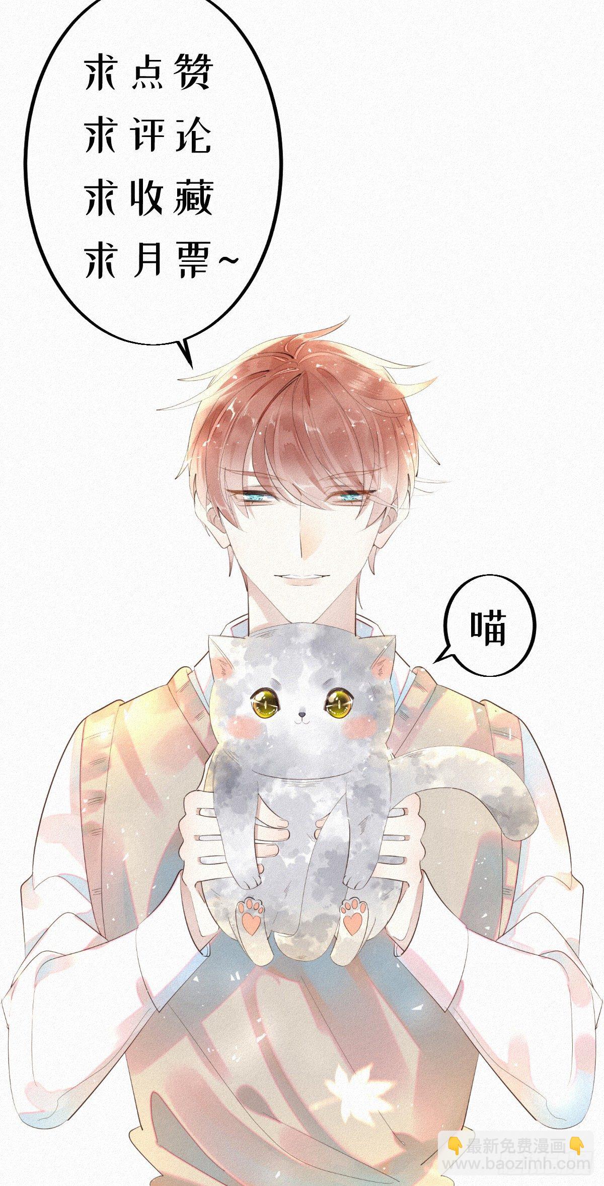 我捡的流浪猫变成人了？ - 七夕加更：13.给你最好的生活 - 4