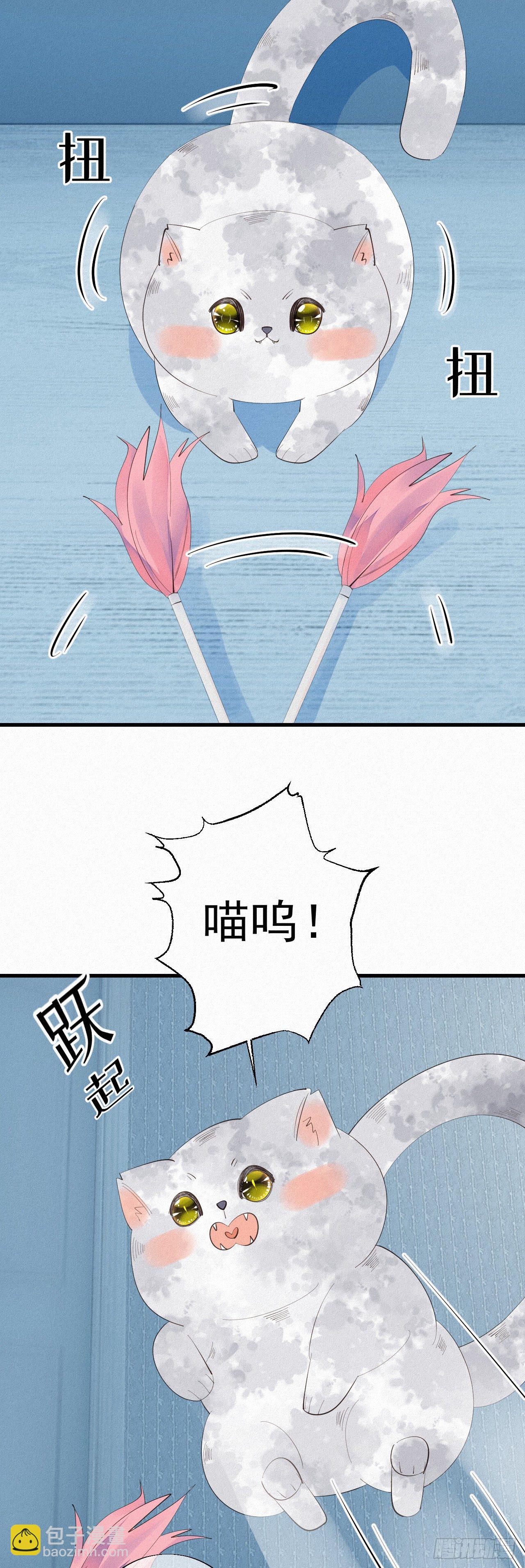 我捡的流浪猫变成人了？ - 24.逗猫 - 2