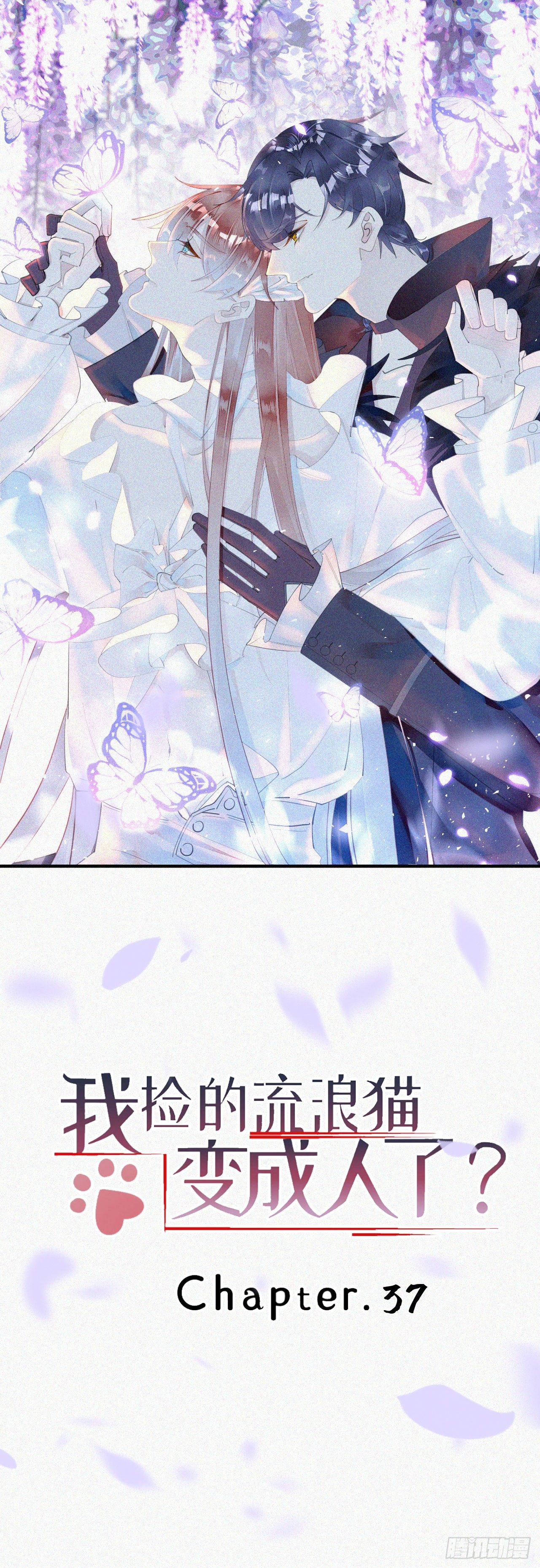 我捡的流浪猫变成人了？ - 37.男厕所 - 1