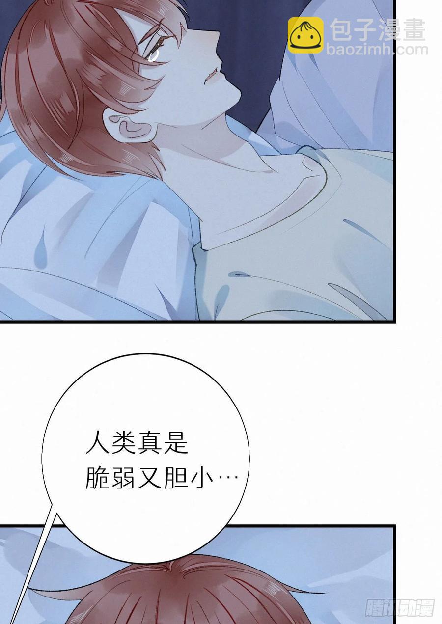 我捡的流浪猫变成人了？ - 63.人类真是胆小又脆弱 - 4