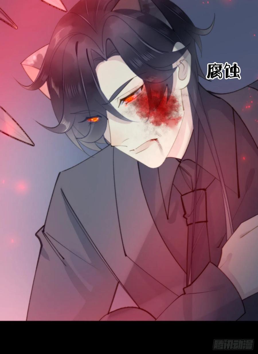 我捡的流浪猫变成人了？ - 84.围攻(2/2) - 2