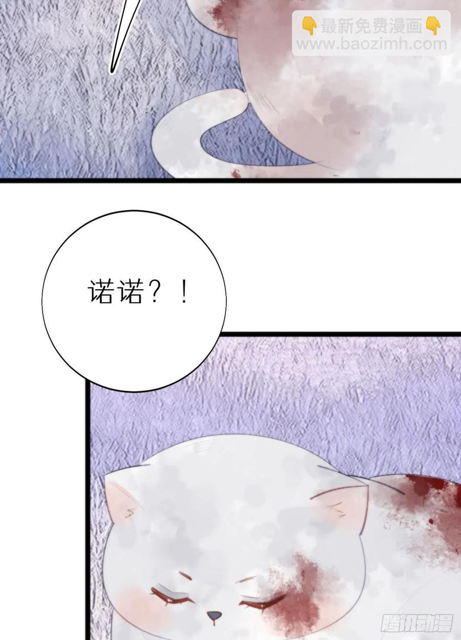 我捡的流浪猫变成人了？ - 87.别装了行吗？(2/2) - 1