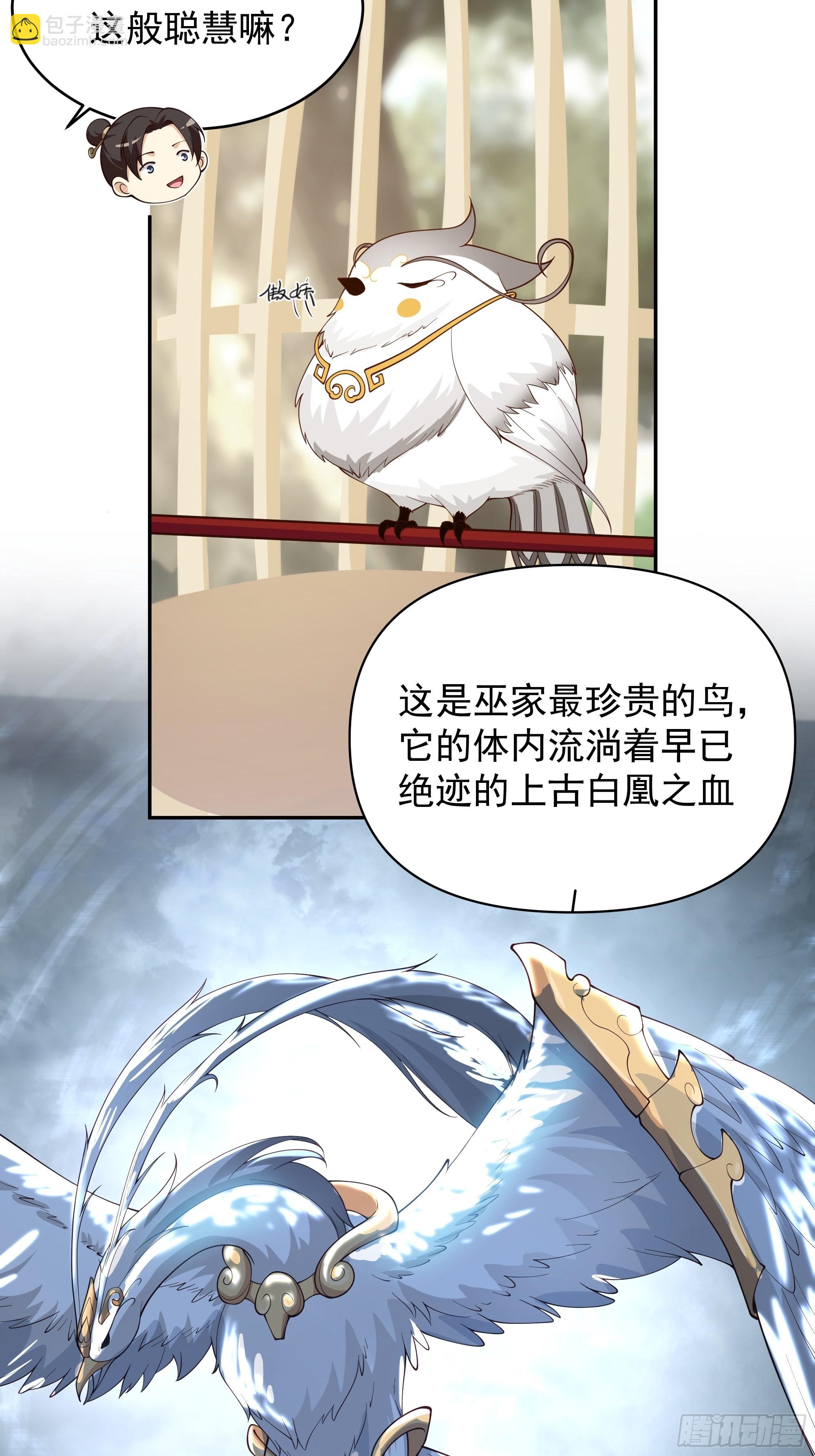 白雀无声(1/2)-第8话